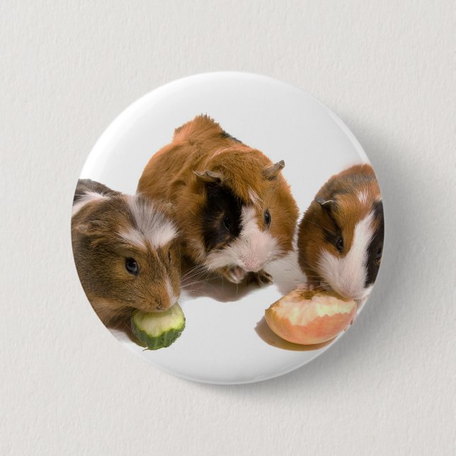Macaron Rond 5 Cm three guinea pigs who eat, (Devant)