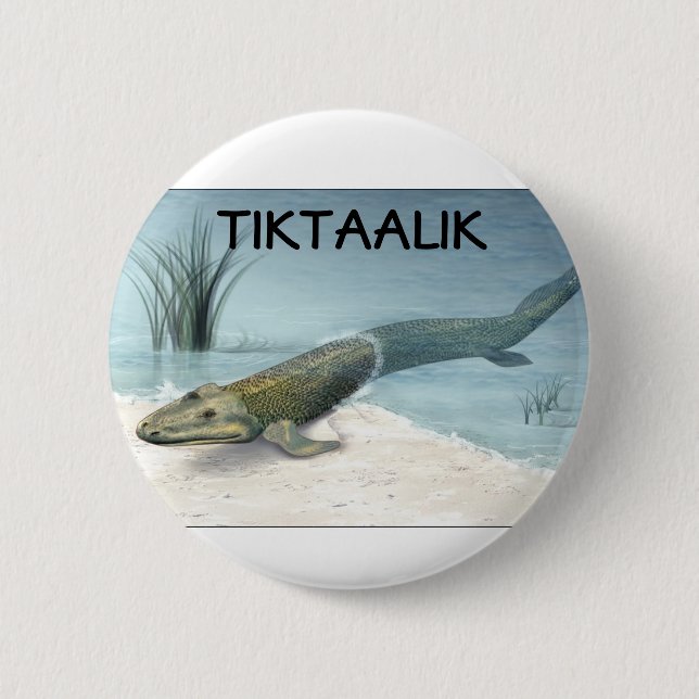 Macaron Rond 5 Cm Tiktaalik (Devant)