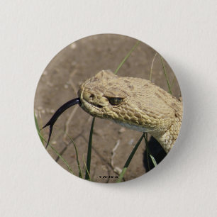Macaron Rond 5 Cm Tir dans la tête de crotale des prairies R8