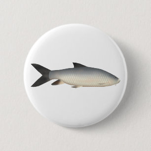 Macaron Rond 5 Cm Tor Mahseer