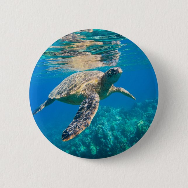 Macaron Rond 5 Cm Tortue de mer (Devant)