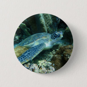 Macaron Rond 5 Cm Tortue de mer sur la photo des fonds marins