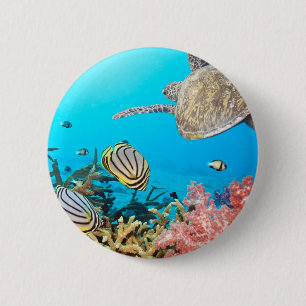 Macaron Rond 5 Cm Tortue Naturescape de récif coralien