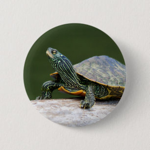 Macaron Rond 5 Cm Tortue peinte sur un bûcher