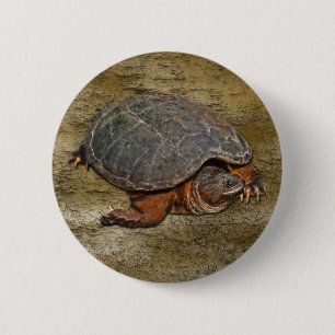 Macaron Rond 5 Cm Tortue serpentine Terrapin-lover Cadeau