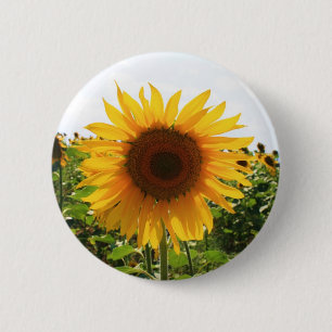 Macaron Rond 5 Cm Tournesol ensoleillé