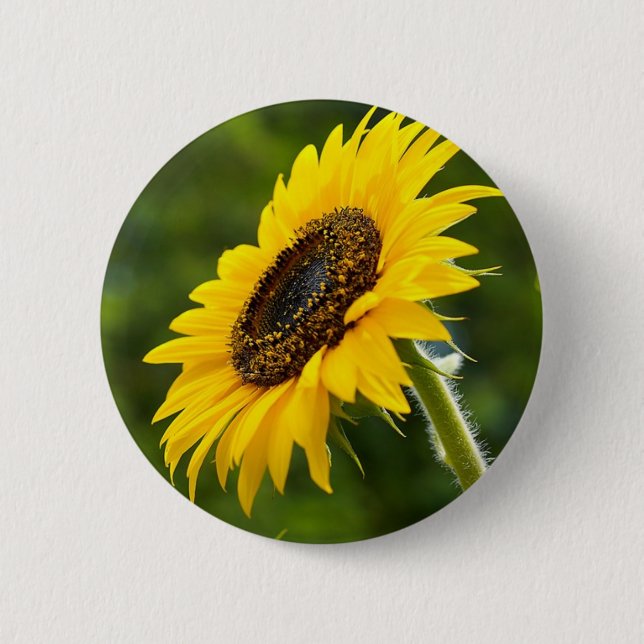 Macaron Rond 5 Cm Tournesol Sideshot (Devant)