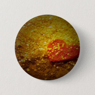 Macaron Rond 5 Cm Toy Camera Heart