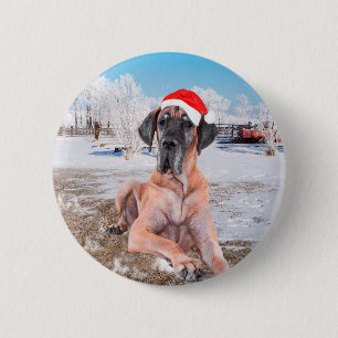 Macaron Rond 5 Cm Très Beau Chien Danse Assis Dans Le Casquette De N
