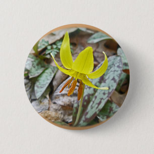 Macaron Rond 5 Cm Trout Lily Fleur sauvage - Erythronium americanum