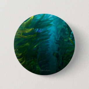 Macaron Rond 5 Cm Trouver Dory   Cacher et rechercher - Kelp de mer