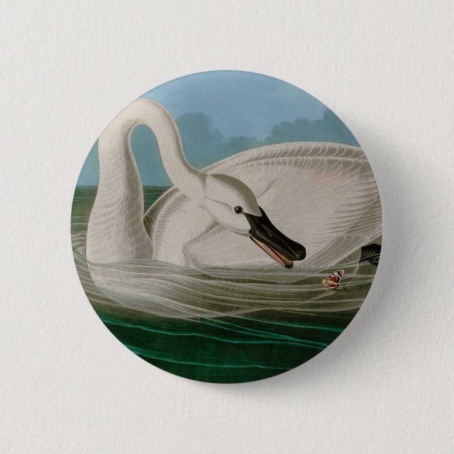 Macaron Rond 5 Cm Trumpeter Swan Birds of America Audubon Print (Devant)