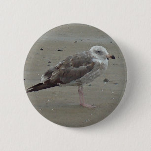 Macaron Rond 5 Cm Un Oiseau de mer unique sur le sable