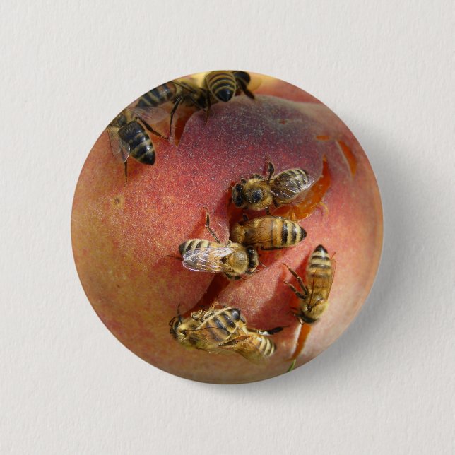 Macaron Rond 5 Cm Une Pêche Pour Les Abeilles (Devant)