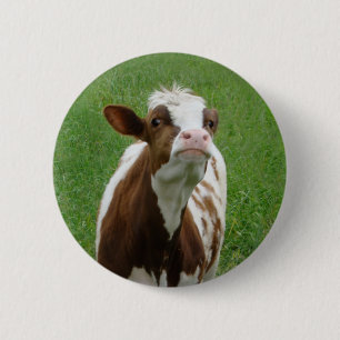 Macaron Rond 5 Cm Vache laitière sur la ferme