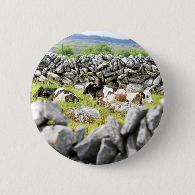 Macaron Rond 5 Cm Vaches Moo (Devant)