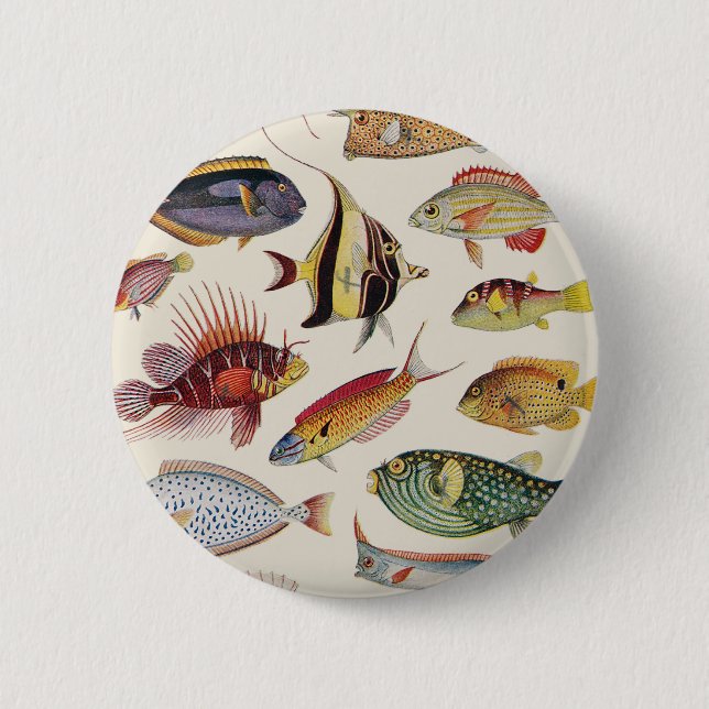 Macaron Rond 5 Cm Variétés de poissons (Devant)