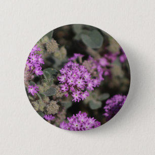 Macaron Rond 5 Cm Verveine violette Réserve faunique de Coachella Va