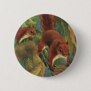 Macaron Rond 5 Cm Vintage Squirrels, Forest Creatures, Wild Animals