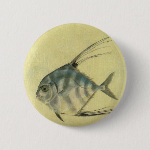 Macaron Rond 5 Cm Vintage Threadfin Trevally, Pompano Africain Poiss