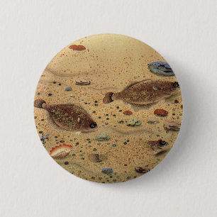 Macaron Rond 5 Cm Vintages, Marine Ocean Life Poisson plat