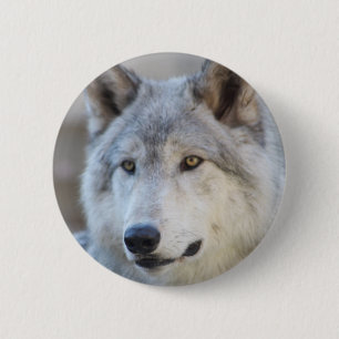 Macaron Rond 5 Cm Visage de loup gris