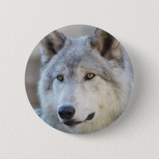 Macaron Rond 5 Cm Visage de loup gris