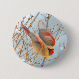 Macaron Rond 5 Cm Vol Cardinal Nord - Photo originale