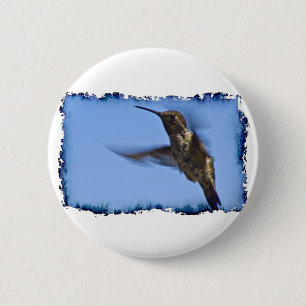 Macaron Rond 5 Cm Vol du colibri