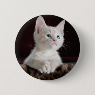 Macaron Rond 5 Cm Votre bouton de coutume de photo