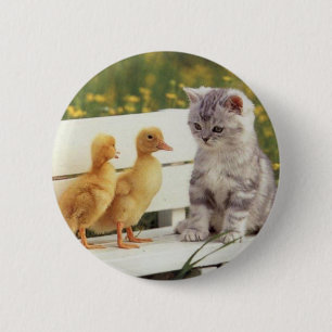 Macaron Rond 5 Cm Vous ne ressemblez pas à Kitty ? Quels êtes-vous