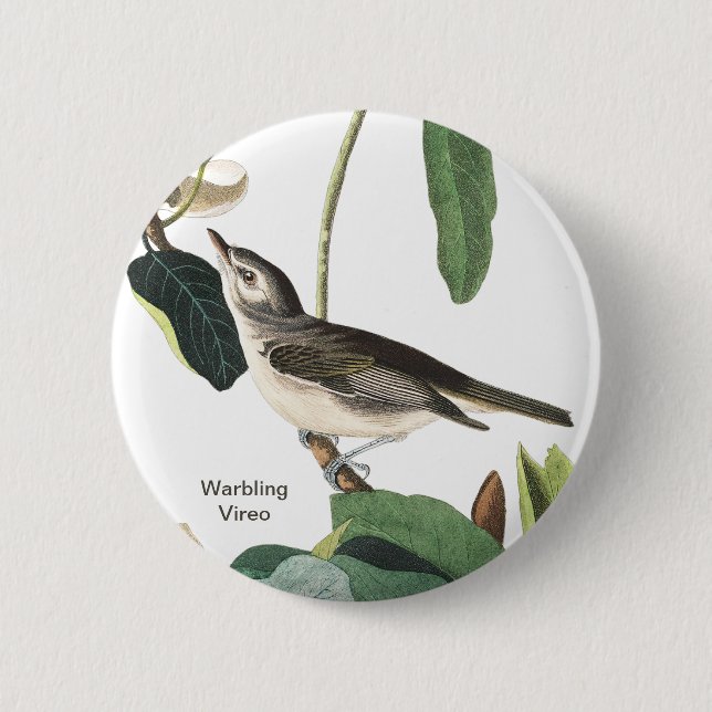 Macaron Rond 5 Cm Warbling Vireo John James Audubon Birdwatcher Bird (Devant)