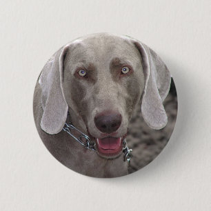 Macaron Rond 5 Cm Weimaraner