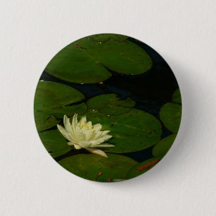 Macaron Rond 5 Cm White Waterlily I Peaceful