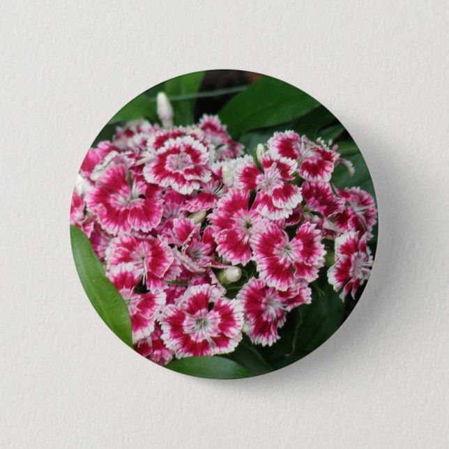 Macaron Rond 5 Cm William doux fleurit autour du bouton (Devant)