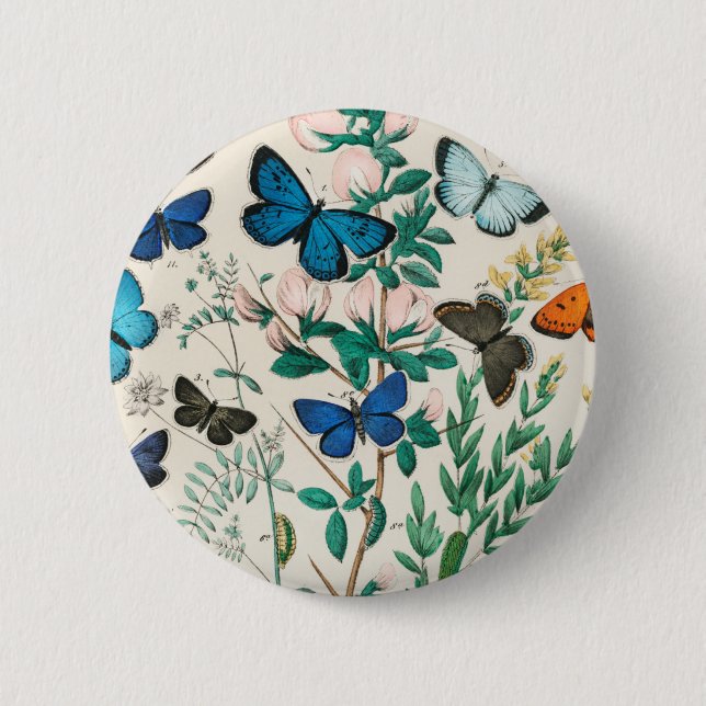 Macaron Rond 5 Cm William Forsell Kirby (Devant)