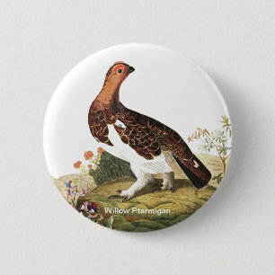 Macaron Rond 5 Cm Willow Ptarmigan par John James Audubon Birder Bir