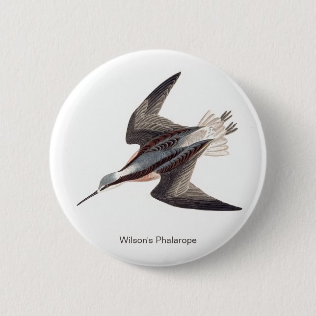 Macaron Rond 5 Cm Wilson's Phalarope par John James Audubon, (Devant)