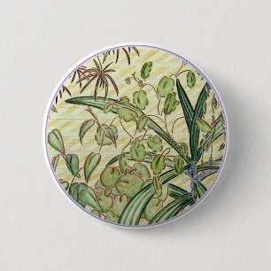 Macaron Rond 5 Cm WinslowPlants