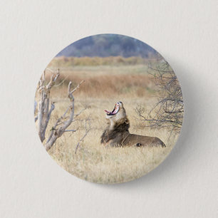 Macaron Rond 5 Cm Yawning lion