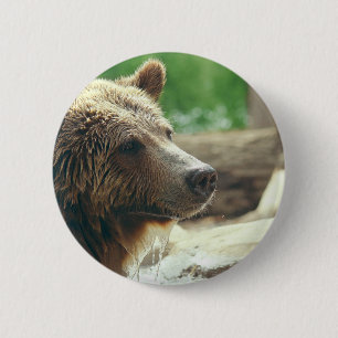 Macaron Rond 5 Cm Yeux animaux de visage d'ours adorable mignon de