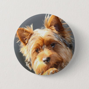 Macaron Rond 5 Cm yorkie