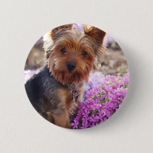Macaron Rond 5 Cm Yorkshire Terrier
