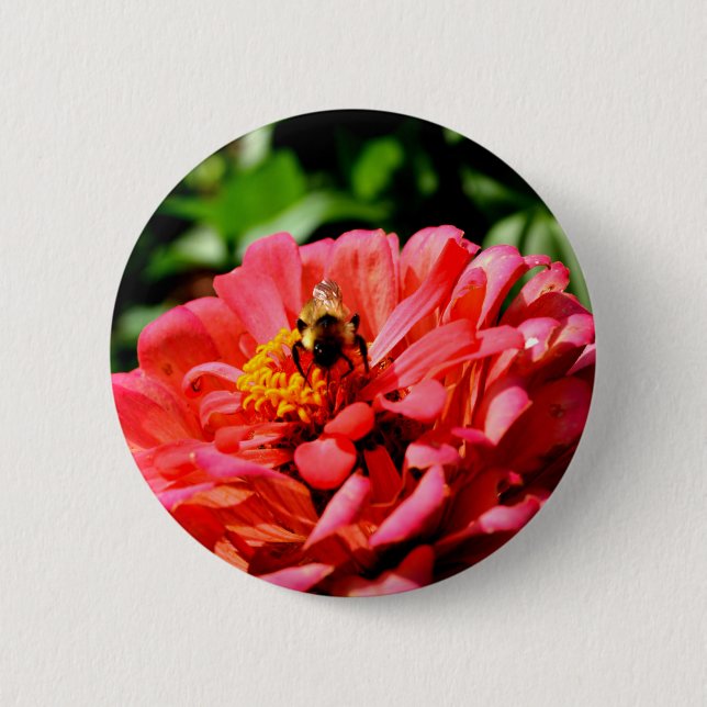 Macaron Rond 5 Cm Zinnia corail avec bourdon (Devant)