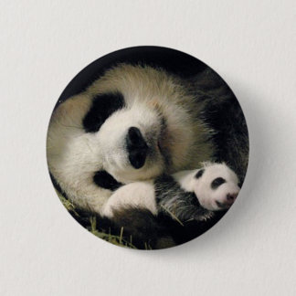 Macaron Rond 5 Cm zoo-atlanta_giant_panda_lun-lun_and_cub