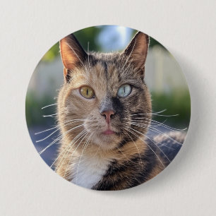 Macaron Rond 7,6 Cm Ajouter une Personnaliser photo de chat