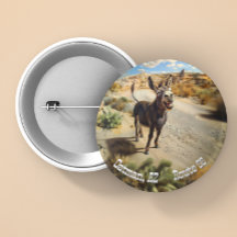 âne souriant, Oatman Arizona, Route 66