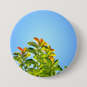 Macaron Rond 7,6 Cm belle plante verte et orange serrée dans un écrin 