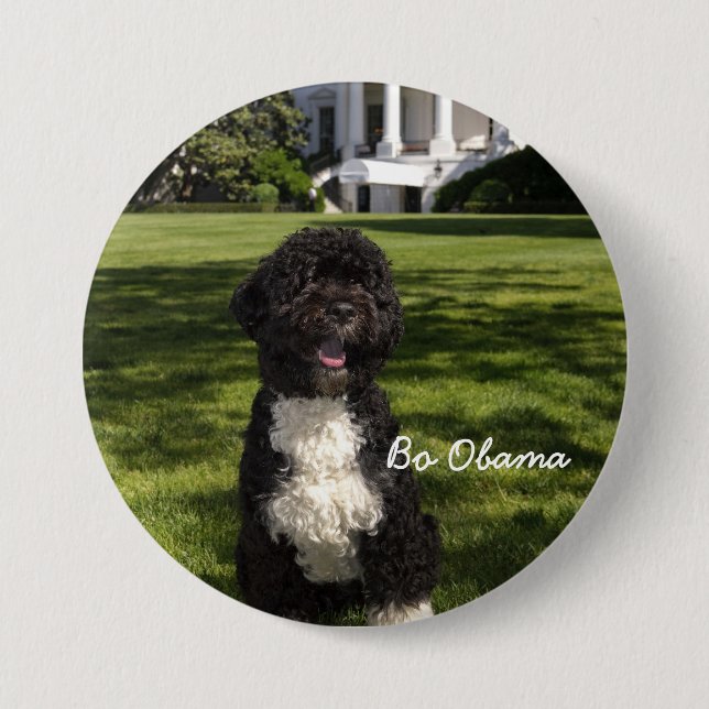 Macaron Rond 7,6 Cm BoObama (Devant)