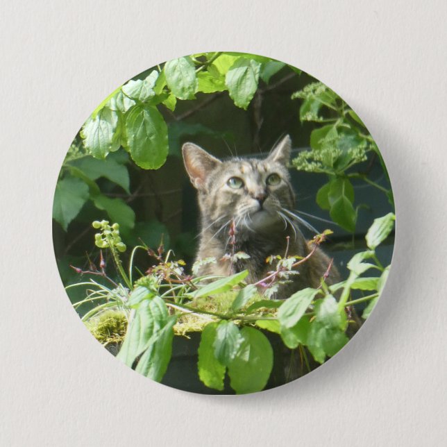 Macaron Rond 7,6 Cm Bouton de chat pour observer les oiseaux (Devant)
